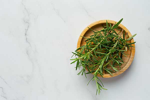 خواص گیاه رزماری برای رشد و تقویت موی سر 
