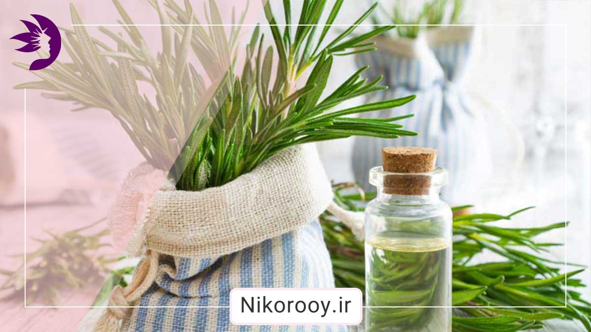 روغن رزماری بهتر است یا جوشانده رزماری؟