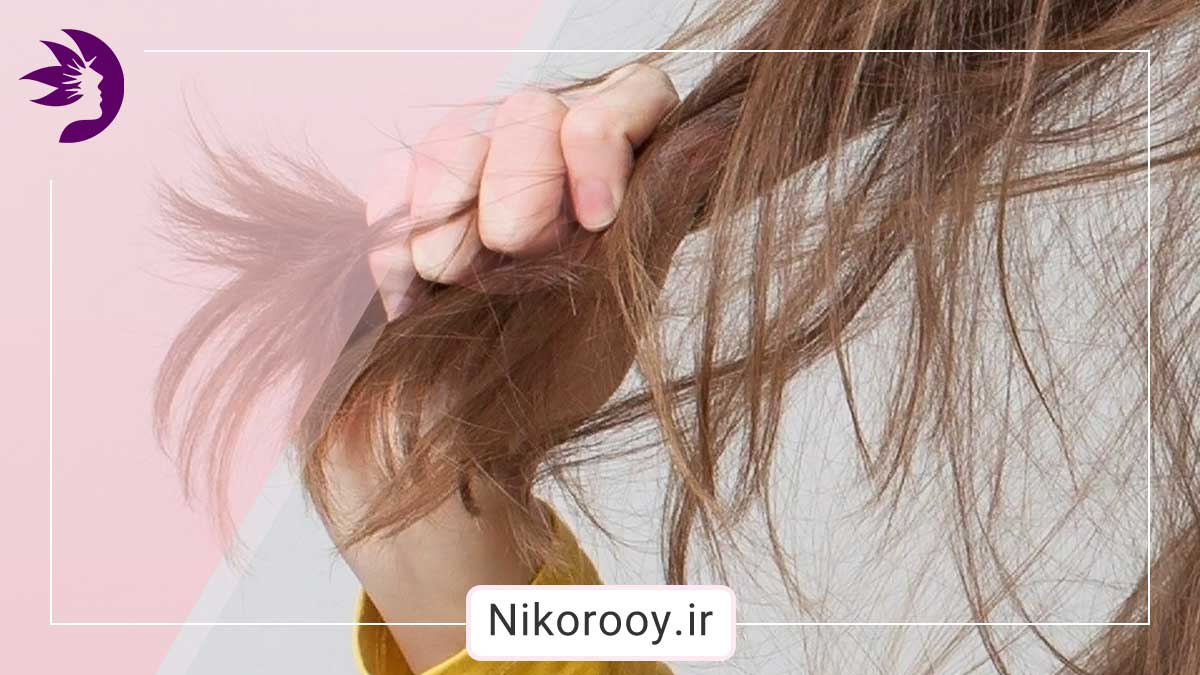موخوره چیست؟ راه تشخیص و درمان موخوره چگونه است؟