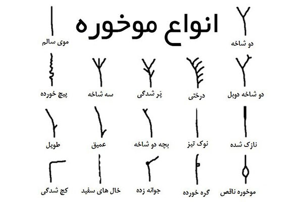 راه تشخیص و درمان انواع موخوره 