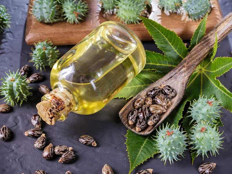 بهترین روغن های طبیعی برای رشد و تقویت ابروها روغن کرچک