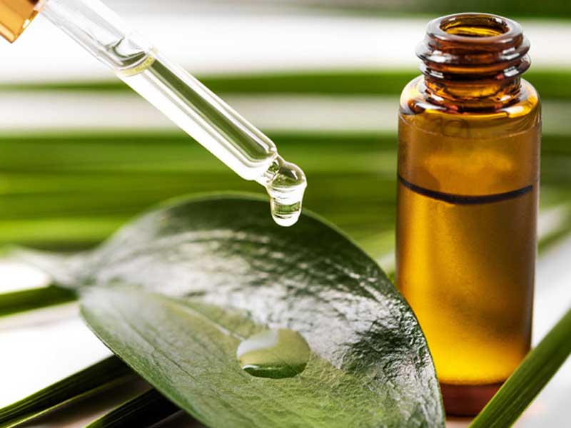 روغن درخت چای ضد التهاب