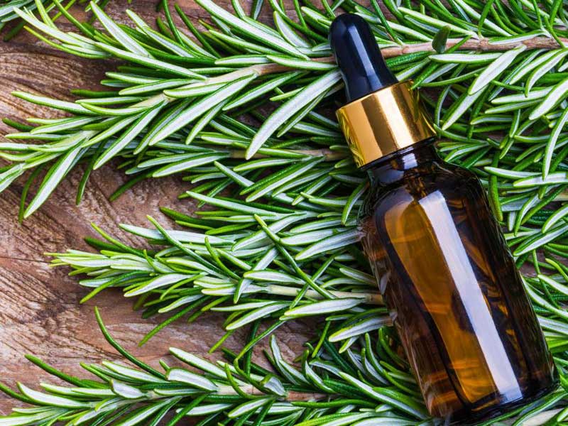 روغن رزماری برای تقویت ابرو